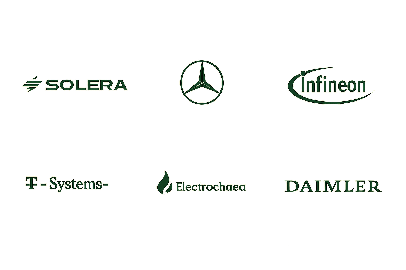 Selected mandates: Solera, Mercedes-Benz, Infineon, T-Systems, Electrochaea, Daimler